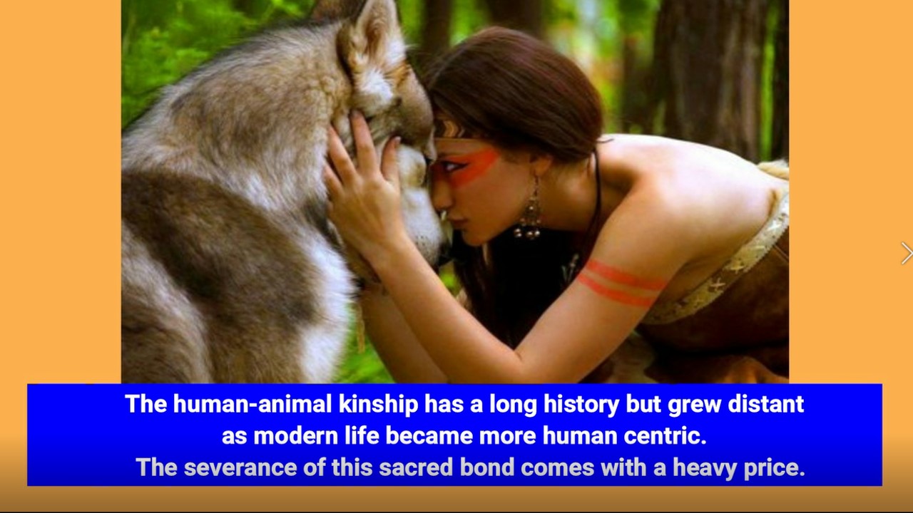 6 Sacred Animals of Asia: Kinship with All of Life (Part 1 of 2) By Luminous Mountain