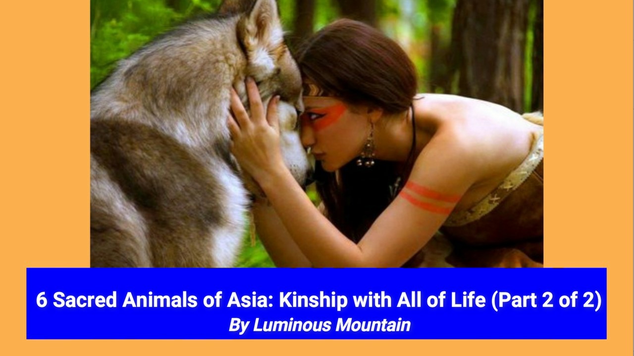 6 Sacred Animals of Asia: Kinship with All of Life (Part 2 of 2) By Luminous Mountain