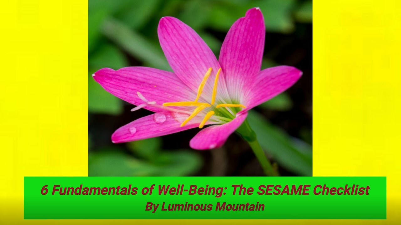 6 Fundamentals of Well-Being: The SESAME Checklist By Luminous Mountain