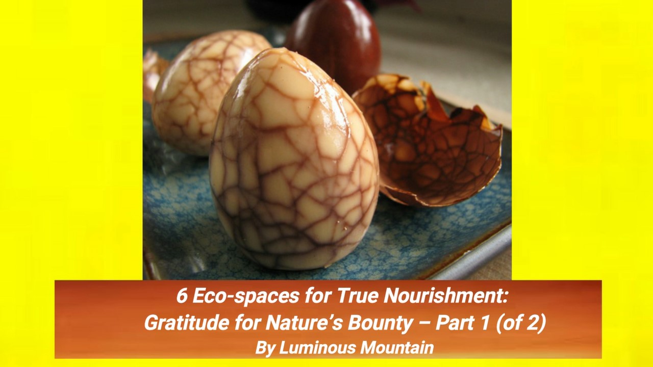6 Eco-spaces for True Nourishment: Gratitude for Nature’s Bounty – Part 1 (of 2) By Luminous Mountain