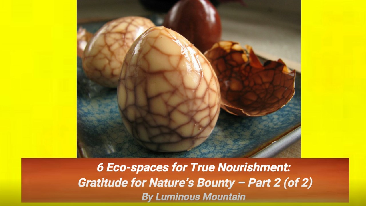 6 Eco-spaces for True Nourishment: Gratitude for Nature’s Bounty – Part 2 (of 2) By Luminous Mountain