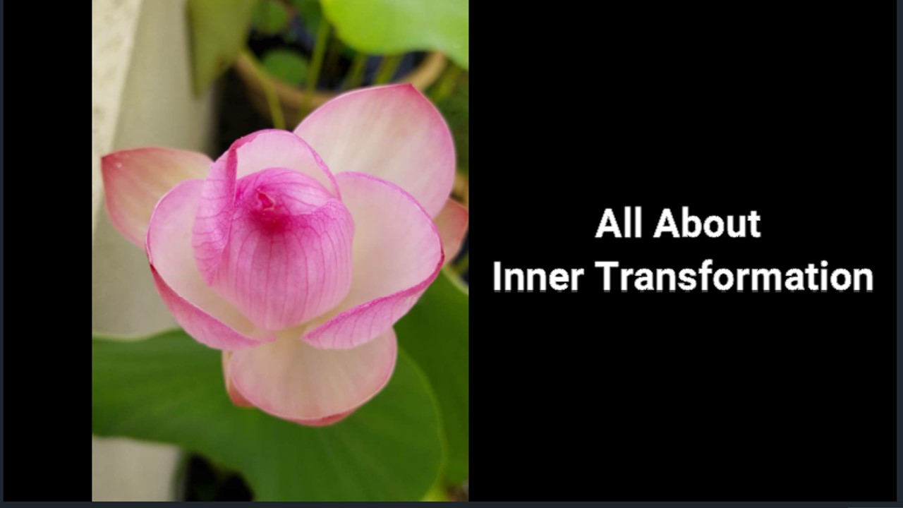 All about Inner Transformation