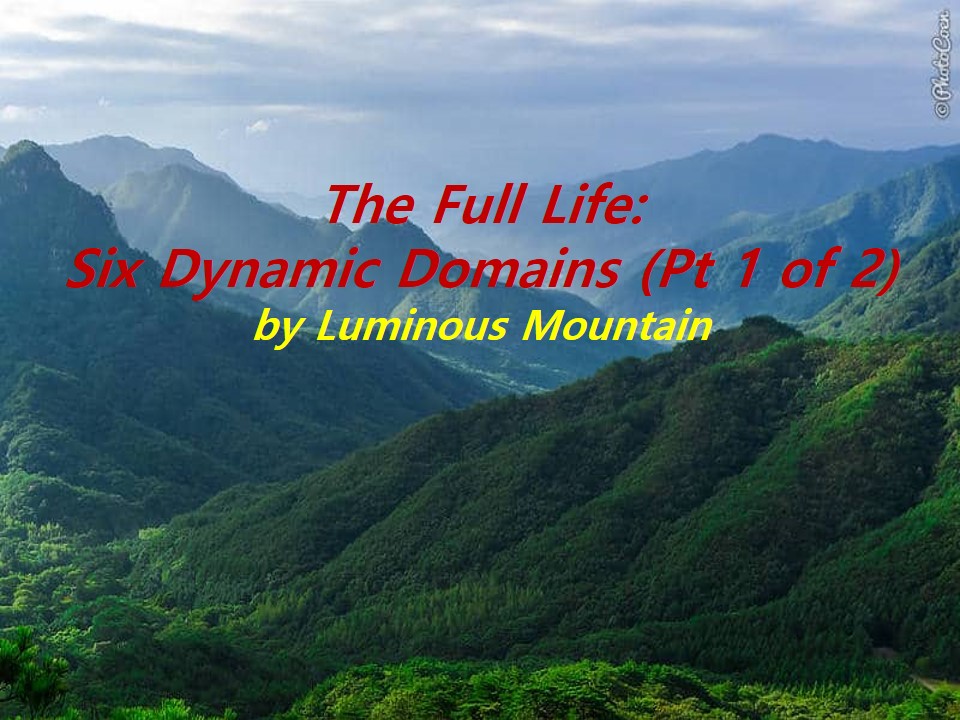 The Full Life: Six Dynamic Domains (Pt 1 of 2)